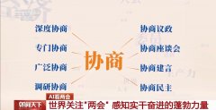协商、调研、办事……AI带你领会高频词都有哪些