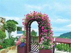 <b>青岛“平易近宿+养老”渐热：田园安“家”养老</b>